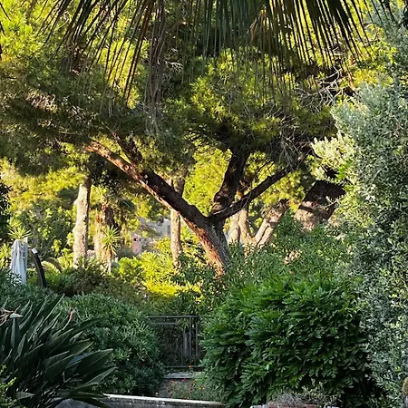 Alba Marina Villa *